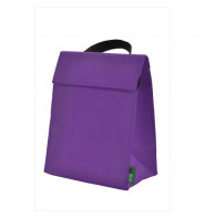 Eco-Friendly Cool Bag