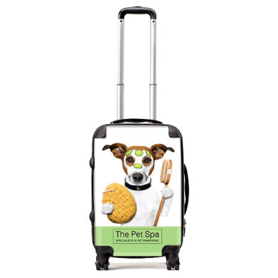 Personalised Luggage - Small Cabin Case