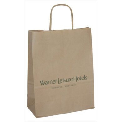 Twist Handle Paper Bags - Large