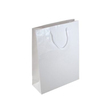 Victory Laminated Paper Bag